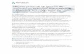 Proyectos de AutoCAD P&ID y AutoCAD Plant 3D - Mejores Practicas