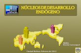 Nucleo de desarrollo endogeno