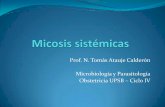 Micosis sistémicas