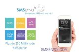 Présentation de l'activité Marketing SmsEnvoi.com