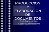 Produccion y elaboracion de documentos luz dey
