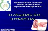 Invaginacion intestinal 2013