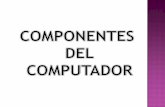 componentes computacionales