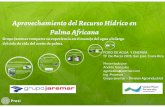 Manejo sostenible del agua en las etapas de cultivo y proceso de palma africana (Grupo Jamar)
