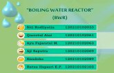 Boiling water reactor (bwr)