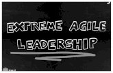 Extreme agile leadership - Ansätze für kooperative Führung in einer agilen Organisation