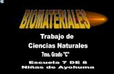 Ayo 7c Biomateriales 07