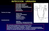 Urologia Radiologica