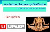 Planimetría Fisioterapia Anatomía Humana ODF