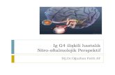 IgG4 ilişkili hastalık: Nörooftalmolojik Perspektif