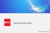Expect globe - ERP(1)
