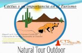 Cactus y su importancia en el turismo