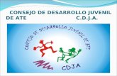Consejo de desarrollo juvenil de ate cdja-expo-2011