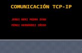 Comunicación tcp ip