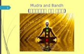 Mudra and bandh