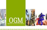 Organismos Geneticamente Modificados - OGM.