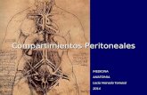 Compartimientos peritoneales