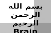 Brain tumor/ Surgery