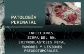 Patología perinatal(2)