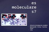 Enfermedades Moleculares