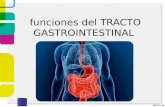 Tracto gastrointestinal pedia final (1)