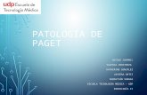 Patologa de Paget