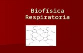 Biofisica Respiratoria
