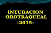 Intubacion traquealClase intubacion traqueal 2015