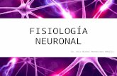 Sesion6 fisiologia neuronal