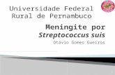 Meningite por Streptococcus Suis