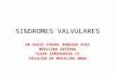 Síndromes Valvulares (Semiología)
