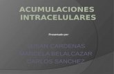Acumulaciones  Intracelulares 1