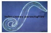 Infecciones parasitarias