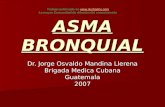 Asma bronquial-100707