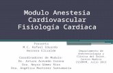 Modulo anestesia cardiovascular, fisiologia cardiaca, julio 2013