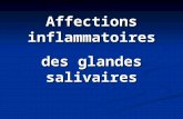 Affections inflammatoires des glandes salivaires