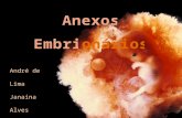 Anexos Embrionários - Embriologia