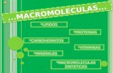 Las macromoleculas