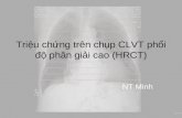 Triệu chứng trên chụp clvt phổi độ phân giải cao (hrct)