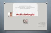 Asfixiologia 1