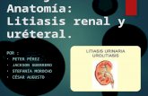 Litiasis Renal y Ureteral (Loja-Ecuador)