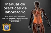 Anatomia de tórax, abdomen, pelvis y periné (Manual de laboratorio)