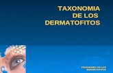Taxonomia dermatofitos