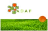 ¿Qué es ADAP?
