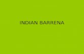 Indian barrena
