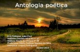 Antologia poética