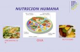 Nutricion humana-1226500909271404-8
