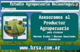 Asesoramiento Agropecuario Belaustegui y Ramayon S.A.