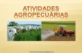 Atividades Agropecuárias