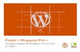 Projet «Blogueur Pro»